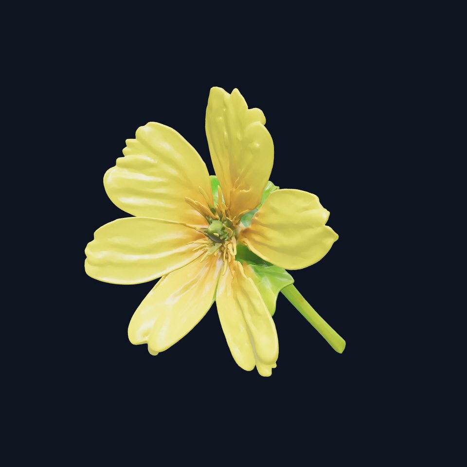 Yellow Clover Flower Botanical model pack